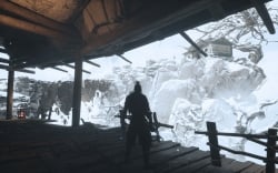 Echoes of Yi : Samsara